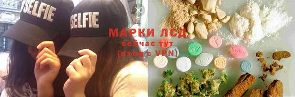 прущие грибы Нея