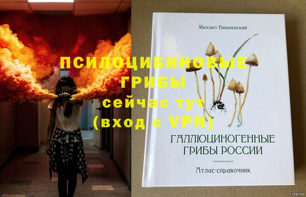 прущие грибы Нея