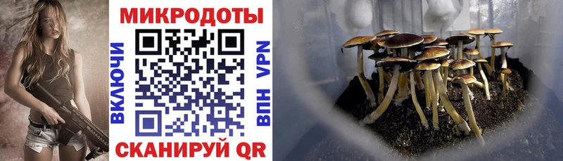 Псилоцибиновые грибы GOLDEN TEACHER  Микунь 